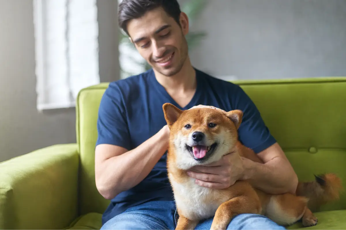 What Tulsa Owners Should Know Before Allowing Pets